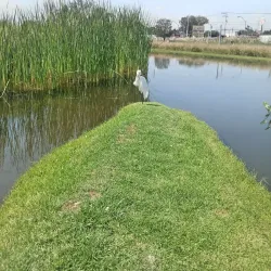 Museo de la Cultura Chichimeca - Texcoco de Mora
