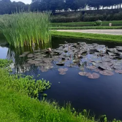 Museo de la Cultura Chichimeca - Texcoco de Mora
