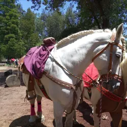 Parque Nacional Molino de Flores - Texcoco de Mora