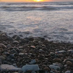 Playas de Tijuana - Tijuana