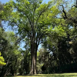 Parque Ecológico Loreto y Peña Pobre - Tlalpan