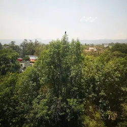Parque Ecológico Loreto y Peña Pobre - Tlalpan