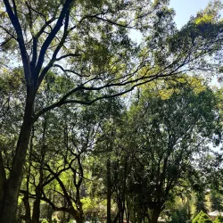 Parque Ecológico Loreto y Peña Pobre - Tlalpan