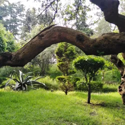 Parque Ecológico Loreto y Peña Pobre - Tlalpan