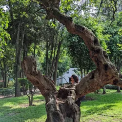 Parque Ecológico Loreto y Peña Pobre - Tlalpan