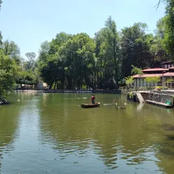 Parque Nacional Fuentes Brotantes de Tlalpan - Tlalpan
