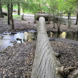 Parque Nacional Fuentes Brotantes de Tlalpan - Tlalpan