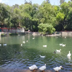 Parque Nacional Fuentes Brotantes de Tlalpan - Tlalpan