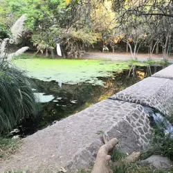 Parque Nacional Fuentes Brotantes de Tlalpan - Tlalpan
