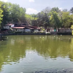 Parque Nacional Fuentes Brotantes de Tlalpan - Tlalpan