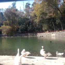 Parque Nacional Fuentes Brotantes de Tlalpan - Tlalpan