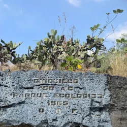 Zona Arqueológica de Cuicuilco - Tlalpan