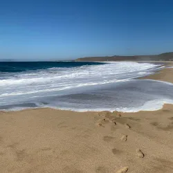 Punta Lobos Beach - Todos Santos