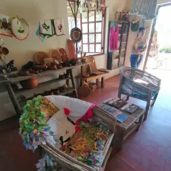 Todos Santos Farmers Market - Todos Santos