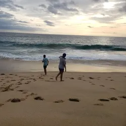 Turtle Bay Beach - Todos Santos