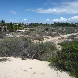 Turtle Bay Beach - Todos Santos