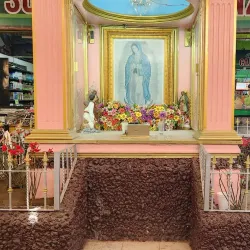 Mercado Alianza - Torreon