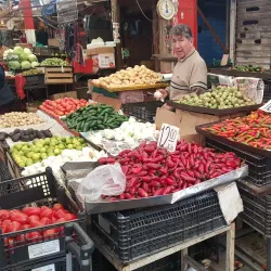 Mercado Alianza - Torreon