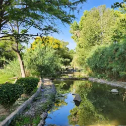 Parque Fundadores - Torreon