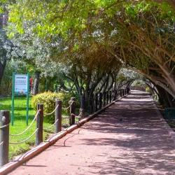 Parque Fundadores - Torreon