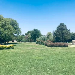 Parque Fundadores - Torreon