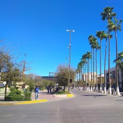 Plaza Mayor - Torreon