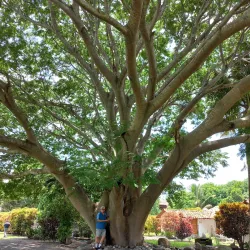Zona Arqueológica de Cempoala - Túxpam de Rodríguez Cano