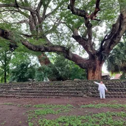 Zona Arqueológica de Cempoala - Túxpam de Rodríguez Cano