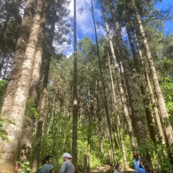 El Santuario Monarch Butterfly Sanctuary - Valle de Bravo
