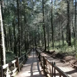 El Santuario Monarch Butterfly Sanctuary - Valle de Bravo