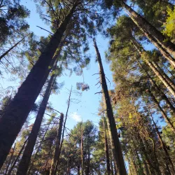 El Santuario Monarch Butterfly Sanctuary - Valle de Bravo