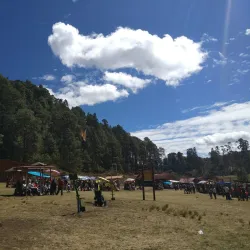 El Santuario Monarch Butterfly Sanctuary - Valle de Bravo