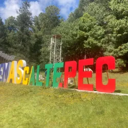 El Santuario Monarch Butterfly Sanctuary - Valle de Bravo