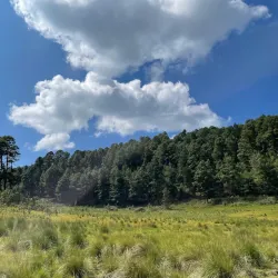 El Santuario Monarch Butterfly Sanctuary - Valle de Bravo