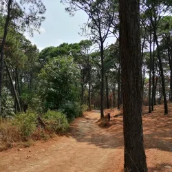 Monte Alto Reserve - Valle de Bravo