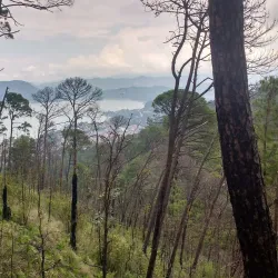 Monte Alto Reserve - Valle de Bravo