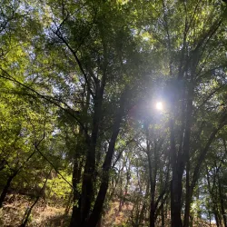 Velo de Novia Waterfall - Valle de Bravo