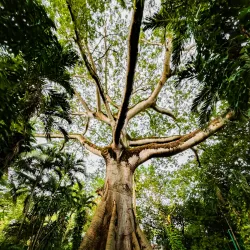 La Venta Museum-Park - Villahermosa