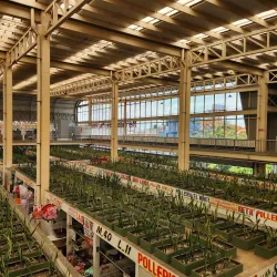 Mercado de Villahermosa - Villahermosa