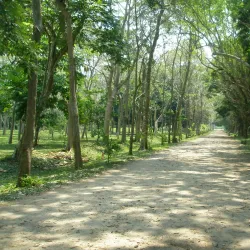Zona Arqueológica de Comalcalco - Villahermosa