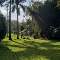 Jardín Botánico Francisco Javier Clavijero - Xalapa