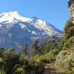 Parque Nacional Pico de Orizaba - Xico