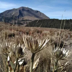 Parque Nacional Pico de Orizaba - Xico