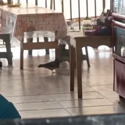 Mercado de Artesanías de Xilitla - Xilitla