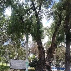 Parque Hidalgo - Zamora de Hidalgo