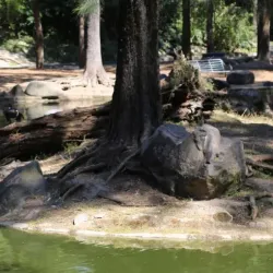 Bosque Los Colomos - Zapopan