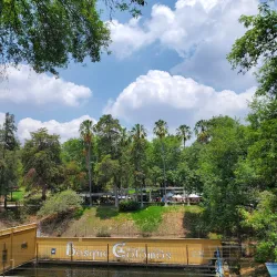 Bosque Los Colomos - Zapopan