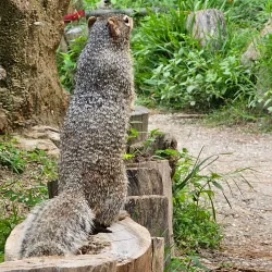 Bosque Los Colomos - Zapopan