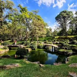 Bosque Los Colomos - Zapopan