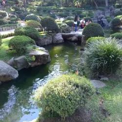 Bosque Los Colomos - Zapopan